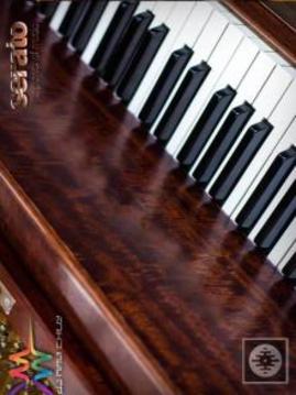 Best Organ Spectacular 2018游戲截圖4