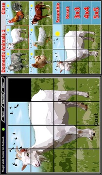 Magic Slide Puzzle D.Animals1游戲截圖3