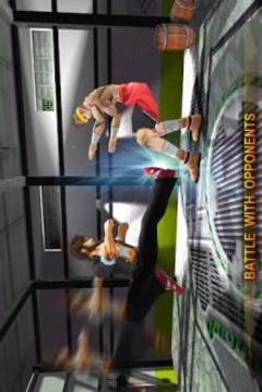 Super Street Fighters Action 3D游戏截图2