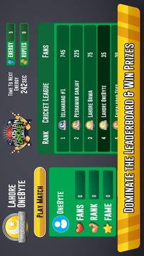 Pakistan Cricket League游戲截圖5