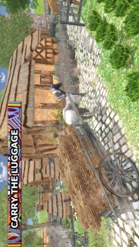 Wild Horse Carriage Transport游戲截圖3