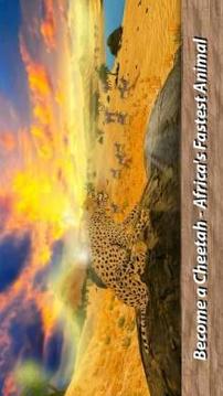 African Wild Life: Cheetah Survival游戲截圖4