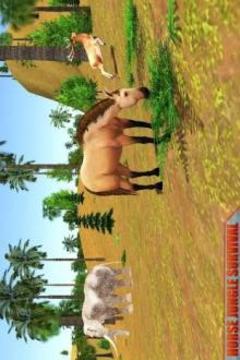 Horse Family Simulator游戲截圖4