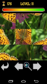 Puzzle Butterfly 2015 Free游戲截圖4