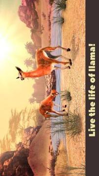 Llama Wild Life Simulator 3D游戲截圖1