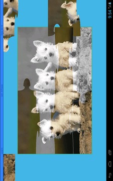 Puppies Puzzle游戲截圖5