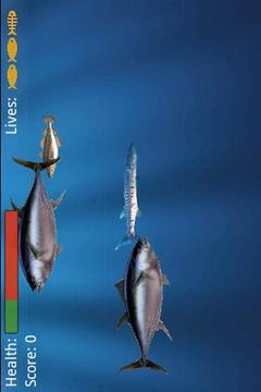 Food Chain Lite游戲截圖2