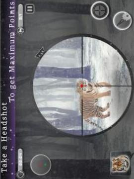 Animal Sniper Hunting Expert Multilevel Shooting游戲截圖3