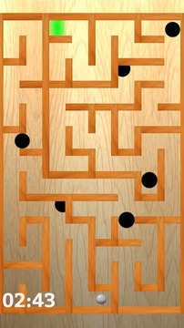 Ball & Maze Puzzle游戲截圖3