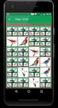 Bird Memory Matching Game游戲截圖3