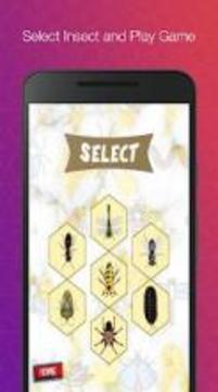 Insects Smasher - Tap to crush Insects游戲截圖4