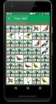 Bird Memory Matching Game游戏截图2