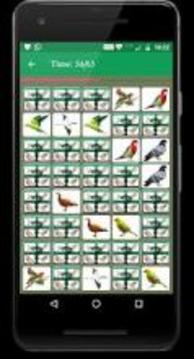 Bird Memory Matching Game游戲截圖2
