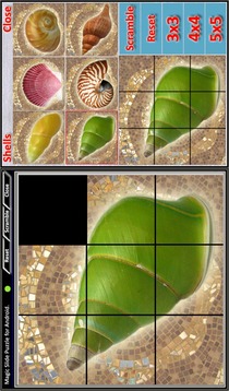 Magic Slide Puzzle Shells游戲截圖5