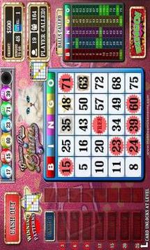 Glamour Puss Bingo Kitty Cash Cats FREE游戲截圖1