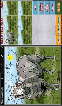 Magic Shape Puzzle Free游戲截圖3