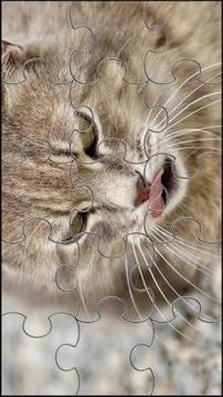 Cute Cats Jigsaw Puzzle游戲截圖4