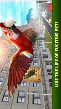 City Bird Parrot Simulator 3D游戲截圖1