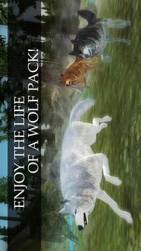 Wild Wolf Quest Online游戲截圖5