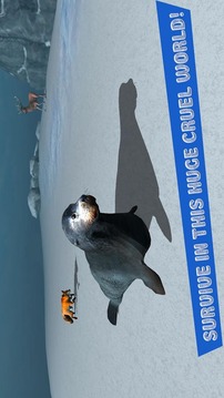 Seal Survival Simulator 3D游戲截圖4