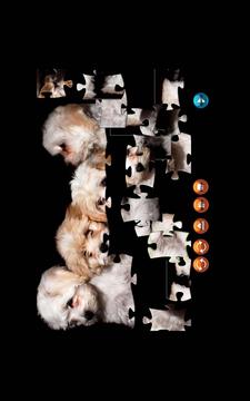 Puppy JigSaw Puzzle游戲截圖2