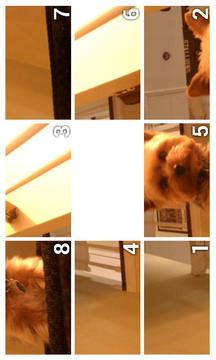 Conpuzzled - Slide Puzzle游戲截圖4