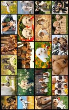 Dog Puzzles - Play Family Games with kids游戲截圖5