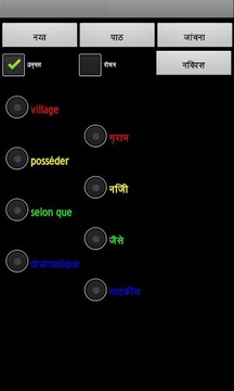 French Hindi Dictionary游戲截圖5