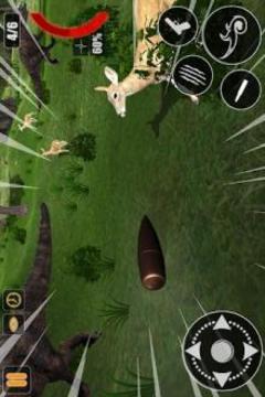 Wild Animals Jungle Hunting: FPS Shooting Game游戲截圖5