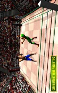 Superhero VS Spider Hero Fighting Arena Revenge游戲截圖2