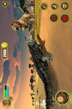 Furious Lion Vs Angry Anaconda Snake: Wild Sim游戲截圖2