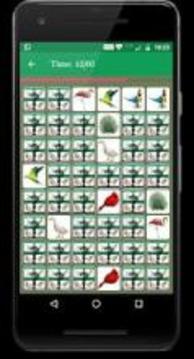 Bird Memory Matching Game游戲截圖1