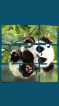 Picture Puzzle: Free Jigsaw Memory Game游戲截圖3