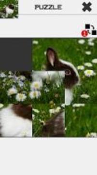 Easter Slide Puzzle游戲截圖3
