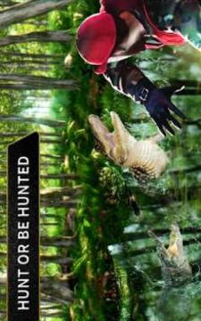 Wild Animal Archery Hunter Bird Shooting Game游戲截圖3