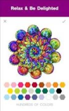 Adult Coloring Books Color By Number游戲截圖3