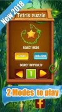 Terris Block Puzzle Classic游戲截圖5