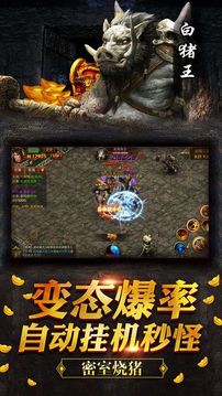 龍城鳳舞游戲截圖1