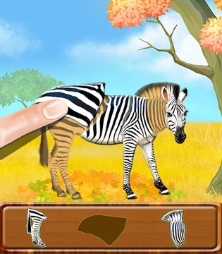 Animal Puzzle - Kids Games游戲截圖5