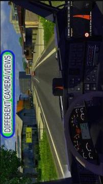 Big Truck: Extreme Adventure 3D游戲截圖5