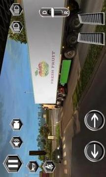 Real Truck Driver Driving Sim 3D游戲截圖2