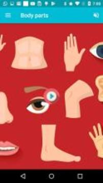 Body Parts-Learn, Spell, Quiz, Draw, Color & Games游戲截圖1
