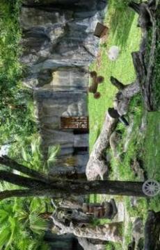 Escape Puzzle: Wildlife Park游戲截圖2
