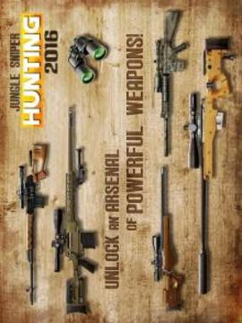 Jungle Sniper Hunting 3D 2016游戲截圖2