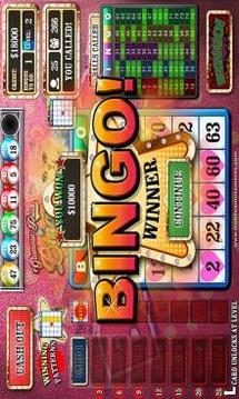 Glamour Puss Bingo Kitty Cash Cats FREE游戲截圖2