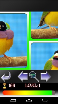 Puzzle Birds游戲截圖2