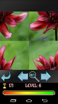 Puzzle Flowers 2015游戲截圖2