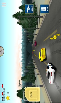 Police Car Chase游戲截圖2
