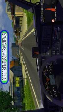 Big Truck: Extreme Adventure 3D游戲截圖1