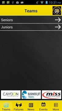 Heidelberg Senior & Junior FC游戲截圖3